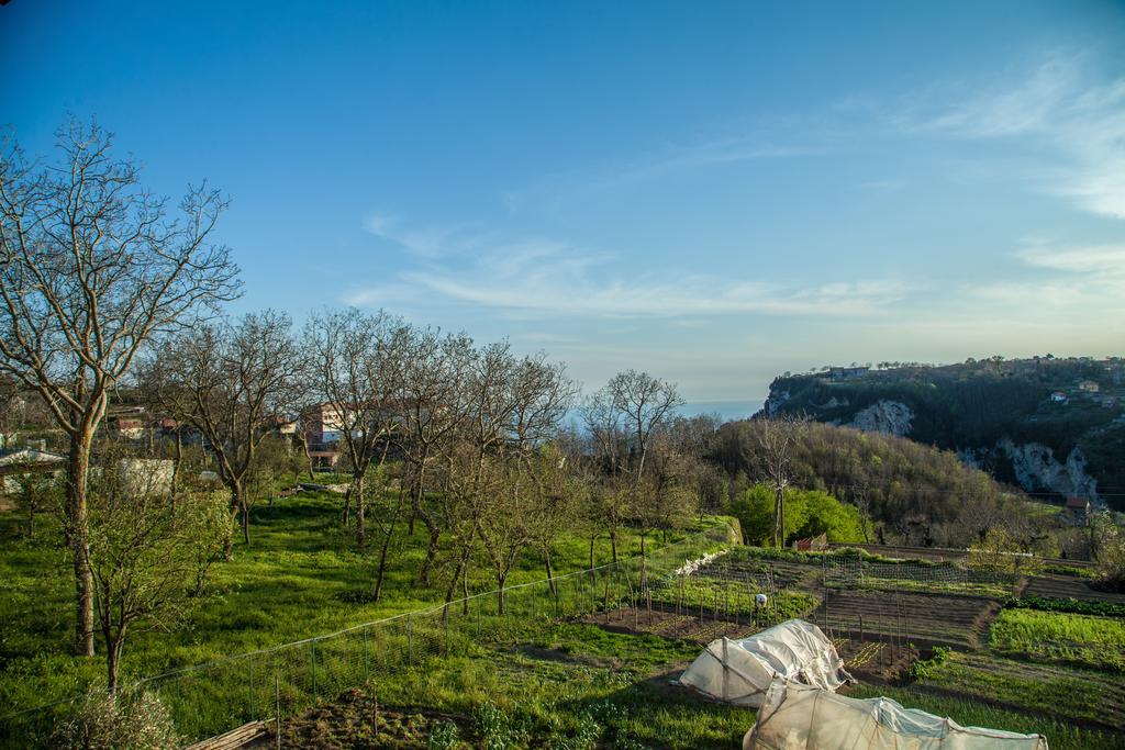 Da Zia Adele Hotel Agerola Bilik gambar